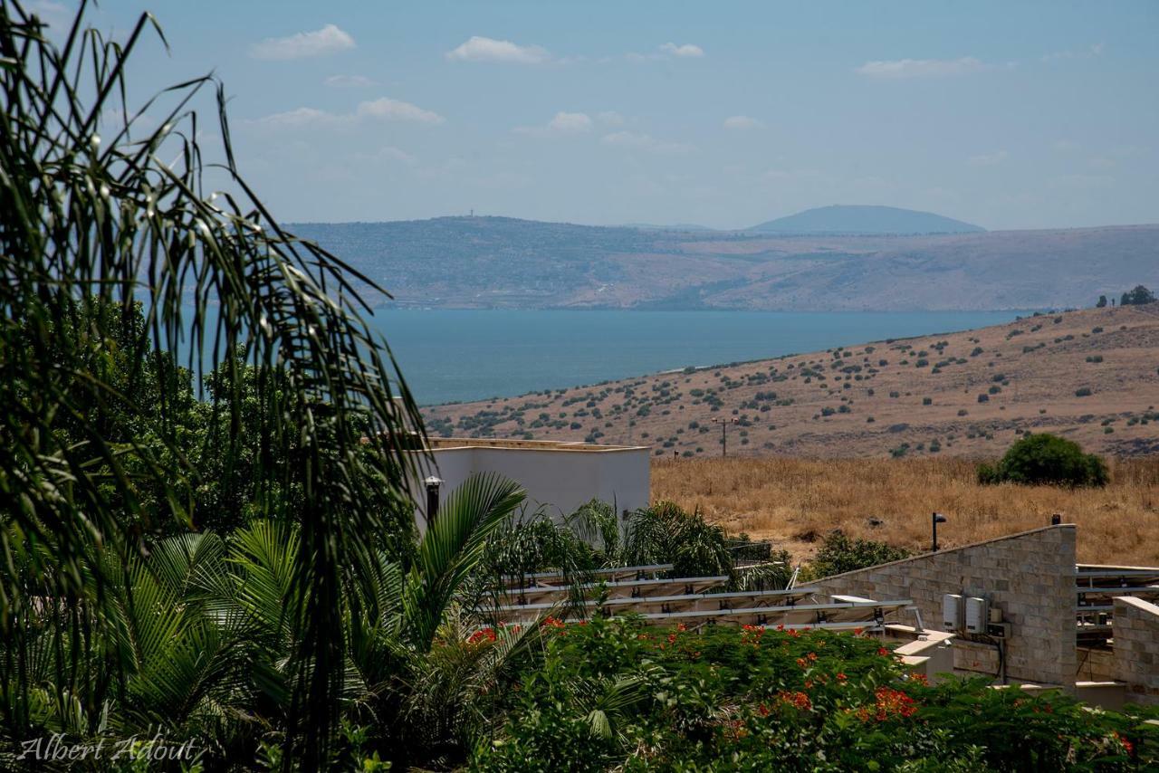 טנא בגולן-צימרים בחד נס מראה חיצוני תמונה